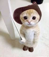 Cizmeli Kedi Cute Baby Animals Funny Animals Funny Animal Pictures