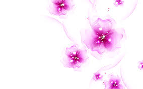 50 background keren untuk edit. White And Pink Abstract Hd Backgrounds