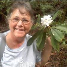 Obituary information for Marnita Buchanan