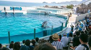 日帰りバスツアーで千葉 房総半島を楽しもう 千葉の観光スポット紹介 日帰りバス旅行会社