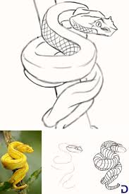Comment Dessiner Un Serpent Dessin Serpent Comment Dessiner Dessin