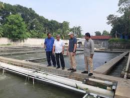Commercial and industrial equipment supplier in bekasi. Brsdm Kkp Twitter Da Sahabat Bahari Kepala Brsdm Sjariefwidjaja Bersama Kepala Pusriskan Dan Peneliti Kunjungi Pt Indohatchery Bangun Insan Sejahtera Ibis Cianjur Jawa Barat Jajaki Kerja Sama Pada Sisi Bisnis Untuk Pengembangan