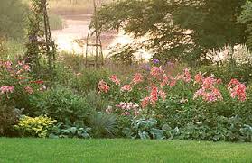 Maybe you would like to learn more about one of these? The Perennial Gardener