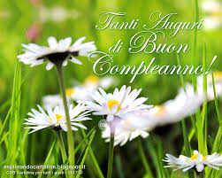 Bigliettino buon compleanno con busta fiori bianchi. Cdb Cartoline Per Tutti I Gusti Cartolina Tanti Auguri Di Buon Compleanno Con Immagine Floreale Di Margherite Di Campo Da Scaricare Gratis