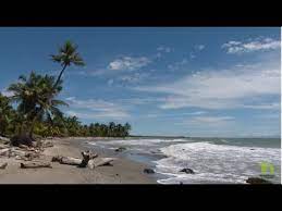 Jun 22, 2021 · algunos deben esperar en las playas de necoclí, colombia, hasta reunir el dinero para el trayecto en lancha, que cuesta 50 dólares por persona. Bobalito Necocli La Playa Del Nacimiento Antioquia Asombrosa Youtube