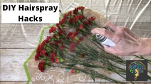 Or, maybe, you simply have lots of the process of preserving flowers depends a lot upon the state of the bloom: Diy Hairspray Hacks Chas Crazy Creations