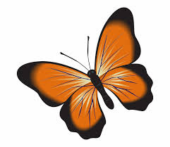 Maybe you would like to learn more about one of these? Clip Art Free Image On Pixabay Insect Butterfly Clipart Transparent Background Transparent Png Download 3864913 Vippng
