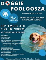 Don't Forget 😁 Perfect end to...