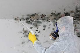 A strong, moldy odor may indicate unseen mold growth behind walls, under flooring or beneath you can have your basement waterproofed professionally, or apply sealant to your walls and floors. How To Get Rid Of Mold In Your Basement Step By Step Mymove