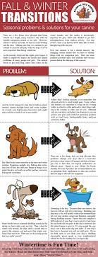 Make Sure That You And Your Pets Are Ready To Enjoy The Season With These Helpful Tips Pets Dog Care Dog Safety