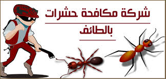 شركة مكافحة الحشرات بالطائف Blog Posts Taif Poster