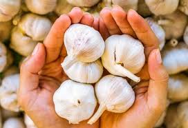 You can include these foods and supplements in your regular diet plan and you will notice increased breast milk production in a few days. 31 Best Foods That Increase Breast Milk Supply