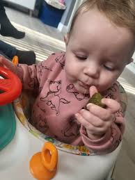 Barkbox hotdog toy with hidden pickle