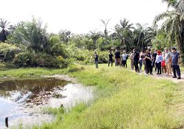 Tapak sungai batu adalah sezaman dengan piramid bangsa maya yang bernama chichen itza yang dibina di pendalaman hutan amerika. Usm News Portal Tapak Arkeologi Sungai Batu Berpotensi Dibangunkan Menjadi Tapak Warisan Dan Arkeopelancongan Negara