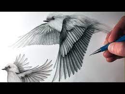 Pin On Drawing And Painting