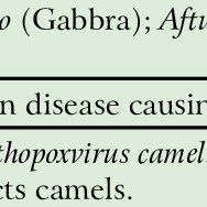 If available, use a nonstick dressing. Pdf Camel Manual For Service Providers