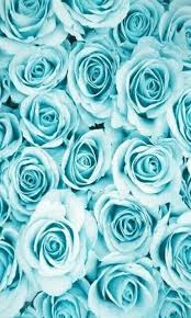 Blue Roses Blue Aesthetic Pastel Light Blue Aesthetic Blue Wallpaper Iphone