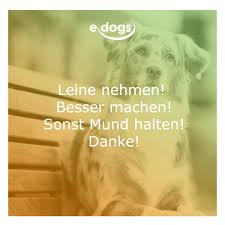 Hunde kommen, wenn man sie ruft. Hunde Spruche Edogs Hundeliebe Hundespruche Hund Zitat Hunde