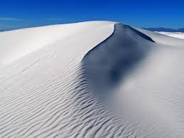 Each of these adaptations allow the plant to collect and store water more efficiently in an environment where water is scarce. The 16 Most Spectacular Deserts In The World