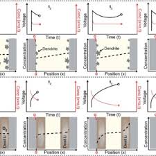 Long lasting cycles (so your phone battery is not dead after three months; Pdf Dead Lithium Mass Transport Effects On Voltage Capacity And Failure Of Lithium Metal Anodes
