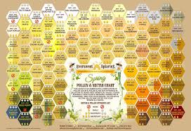 pollen nectar chart honey bee pollen bee keeping bee facts