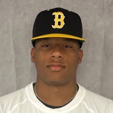 Miami Brito Panthers