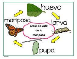 Pin On Raising Bilingual Kids Resources