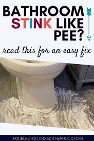 Quickly Easily Get Rid Of The Urine Smell In Your Bathroom In 2020 Cleaning Dog Pee Bathroom Smells Cat Pee Smell Removal