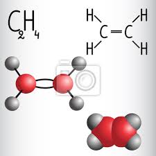 Aber stimmt dir rechte zeichnung nicht auch? Chemische Formel Und Molekulmodell Von Ethylen C2h4 Leinwandbilder Bilder Organische Chemie Infografik Konfiguration Myloview De