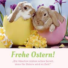 Am ostersonntag wird die auferstehung jesu gefeiert. Frohe Ostern Lustig Hasen Guten Morgen Easter Spring Happy Frohe Ostern Frohe Ostern Bilder Frohe Ostern Lustig Bilder