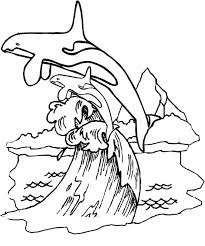 Killer whale coloring pages the killer whale also called the orca is a very intelligent animal that sits at the top of the food chain in the ocean it can easily kill a great white shark. Whale Coloring Pages 100 Pictures Free Printable