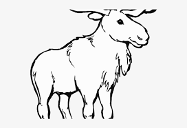 You can use our amazing online tool to color and edit the following caribou coloring pages. Caribou Clipart Coloring Page Moose Coloring Pages Png Image Transparent Png Free Download On Seekpng