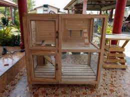 Seperti yang kita tahu saat ini banyak berbagai jenis dan merk makanan kucing yang tersedia di. Cara Membuat Kandang Kucing Dari Kayu