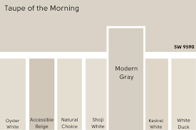 Taupe Of The Morning Sherwin Williams