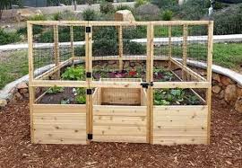 Outdoor Living Today Raised Garden Bed 8 X 8 With Deer Fence Kit Rockgarden Cedar Raised Garden Beds Raised Garden Cedar Raised Garden