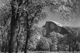 Resultado de imagen de ansel adams fotos