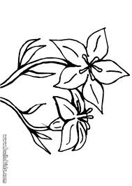 Lily Flower Coloring Pages Flower Coloring Pages Printable Flower Coloring Pages Lily Flower