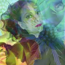 The Diary of Dark Days