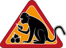 В жилом доме оккупированного Харцызска прогремел взрыв, есть погибшие - Цензор.НЕТ 4455