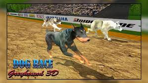 Crazy Real Dog Racing Simulator 3d 2019 Dog Games Real Dog Racing Dogs