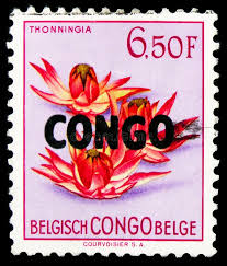 Image result for Thonningia