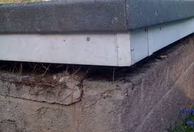 Hence i wish to raise the roof by say 9 to 12 inches. Raising The Roof Joe Bennett Music Services