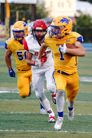 Athletes recognized for perseverance through trials