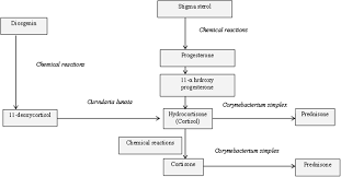 We would like to show you a description here but the site won't allow us. Biotransformation And Enzymes Book Chapter Iopscience