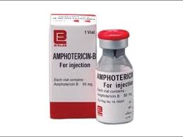 Image result for Amphotericin B