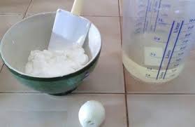 Les Bienfaits Du Kefir Champignon Du Tibet Ou Grains De Kefir Kefir De Lait Kefir Fabrication Fromage