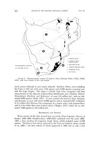 Image result for Gunillaea rhodesica