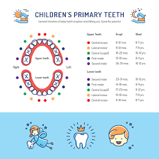 Why Baby Teeth Matter Willow Pass Dental Care