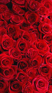 Weitere ideen zu hintergrund, hintergrundbilder, tumblr hintergrund. Pin Von Auf Gullerim Roter Hintergrund Rote Rosen Blumen Hintergrund Iphone
