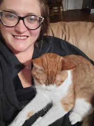 Lost dogs in Newburgh, mini Australian shepherd and another dog named Stella